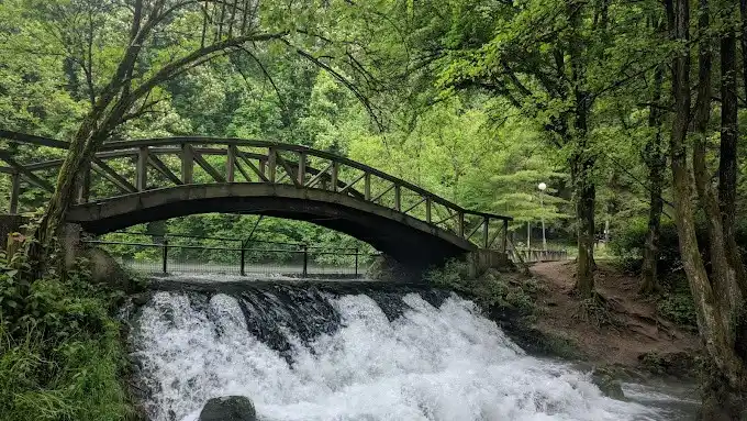 Vrelo Bosne